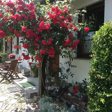 Sonne-stadtrand Dresden Lejlighed *